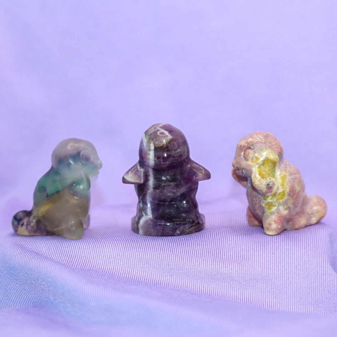 Squirtle Carving