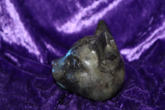 Labradorite cat with third eye