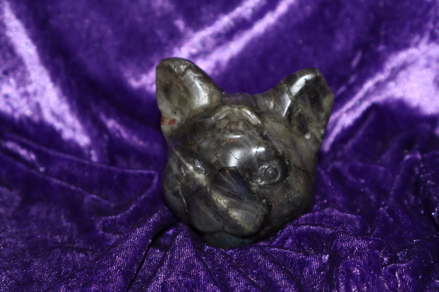 Labradorite cat with third eye