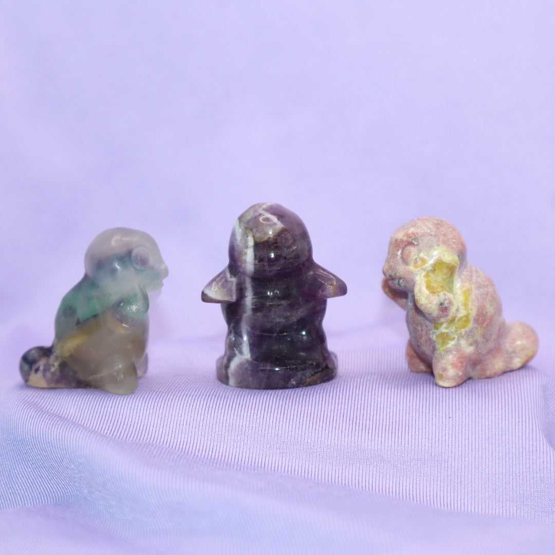 Squirtle Carving